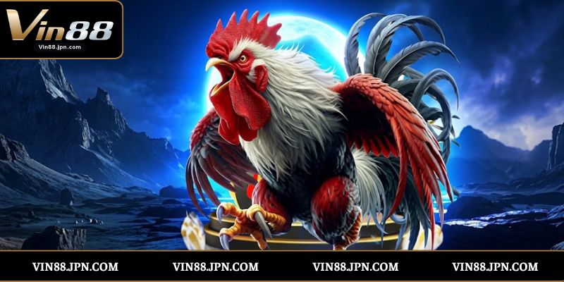 Đôi Nét Về Sảnh Đá Gà Thomo Vin88